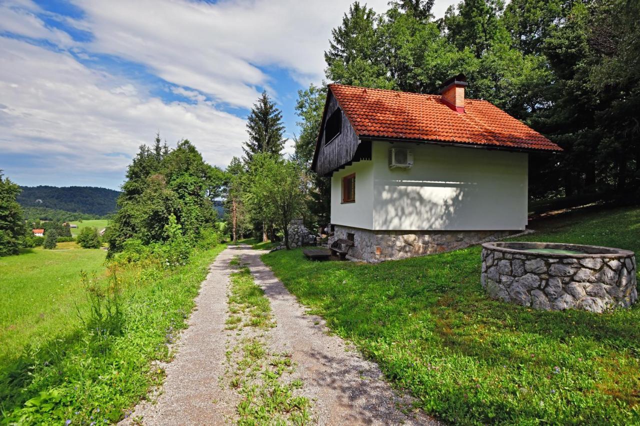 Forest House Villa Vrhnika Esterno foto