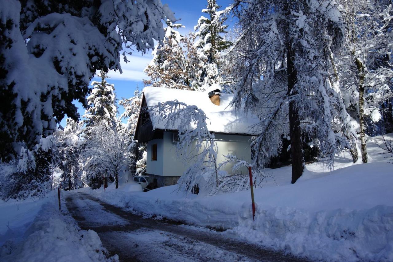 Forest House Villa Vrhnika Esterno foto