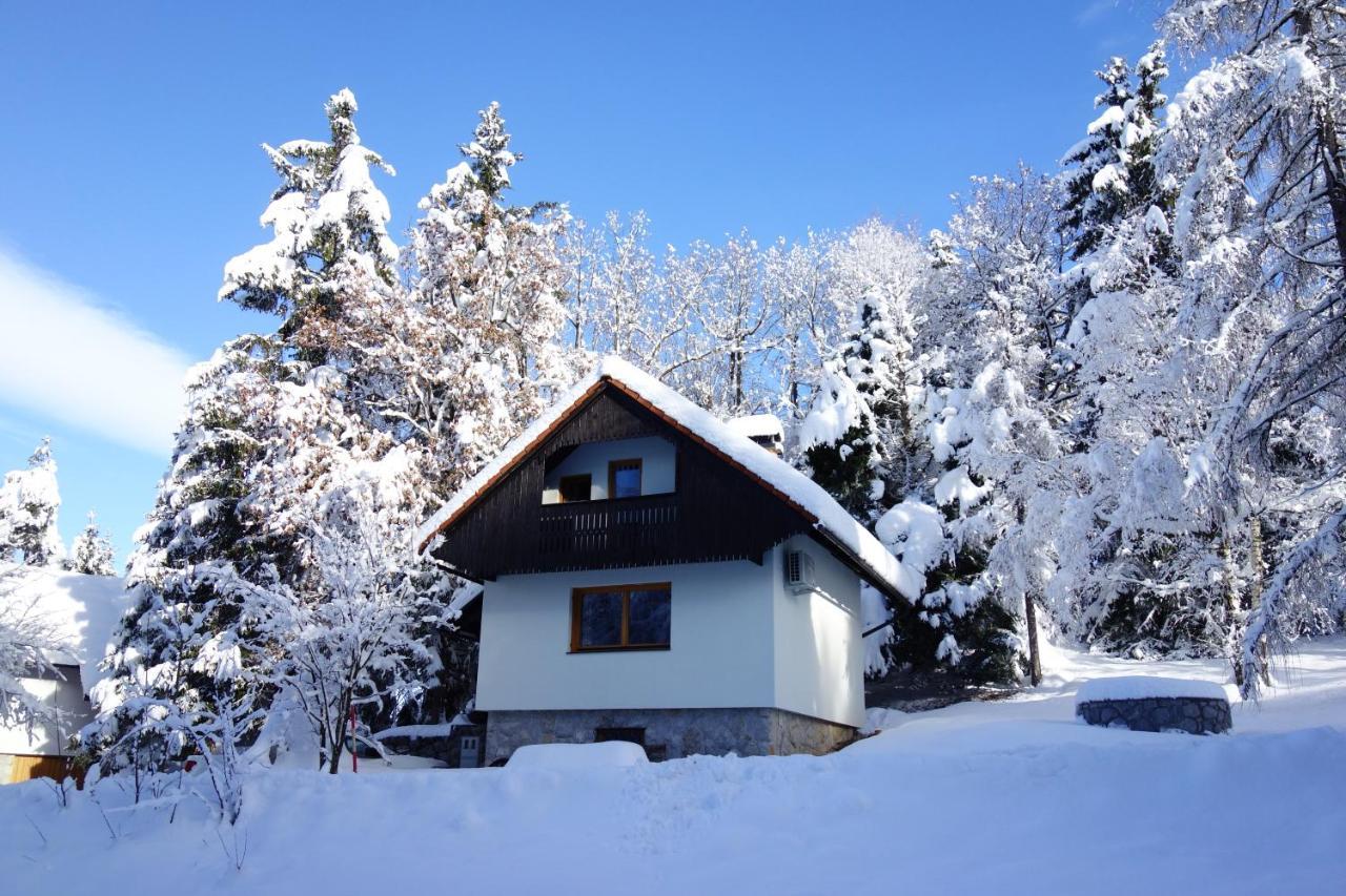 Forest House Villa Vrhnika Esterno foto