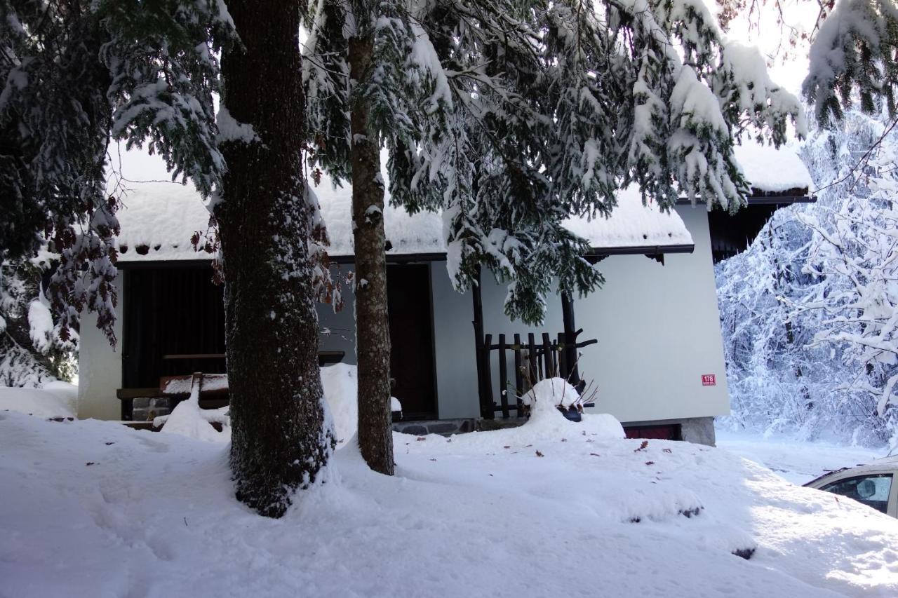 Forest House Villa Vrhnika Esterno foto
