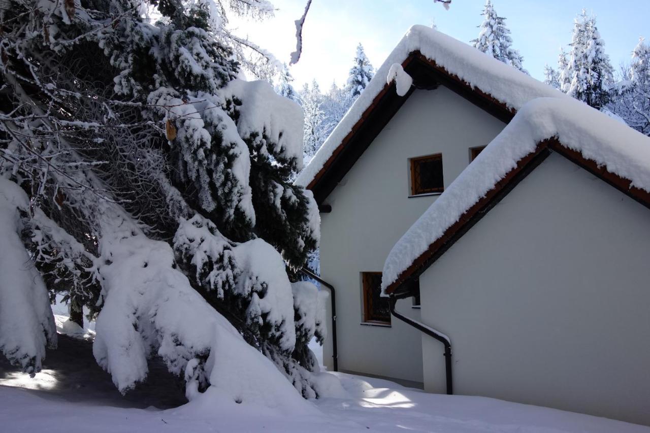 Forest House Villa Vrhnika Esterno foto
