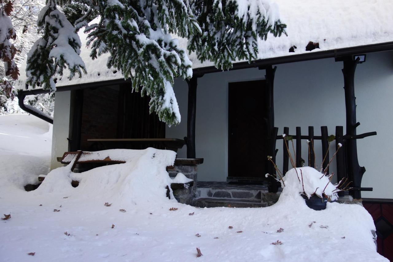 Forest House Villa Vrhnika Esterno foto